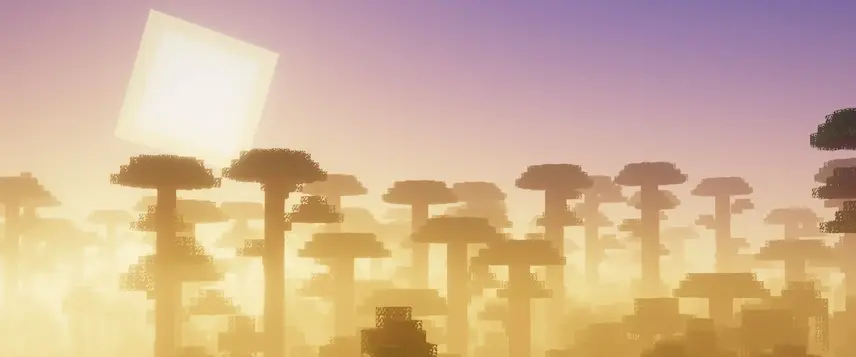 sunset on jungle biome