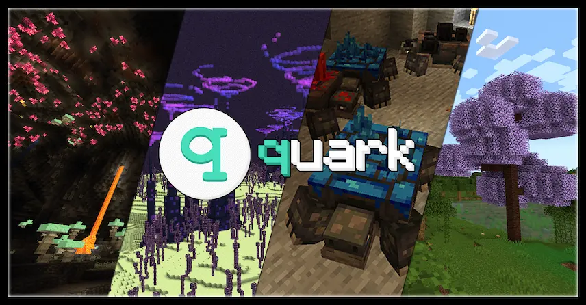 quark features