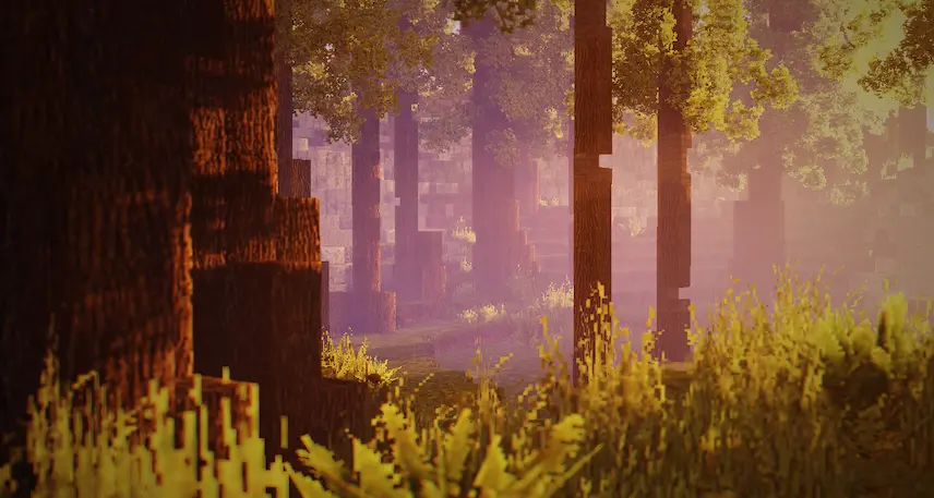 forest