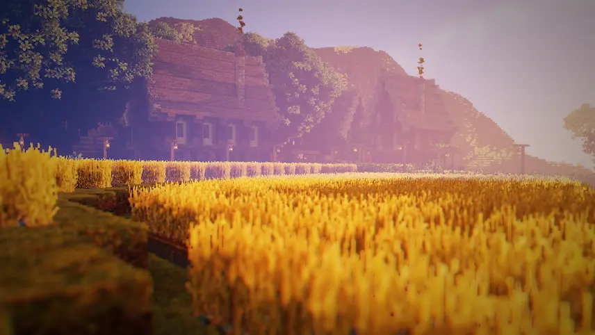 fields