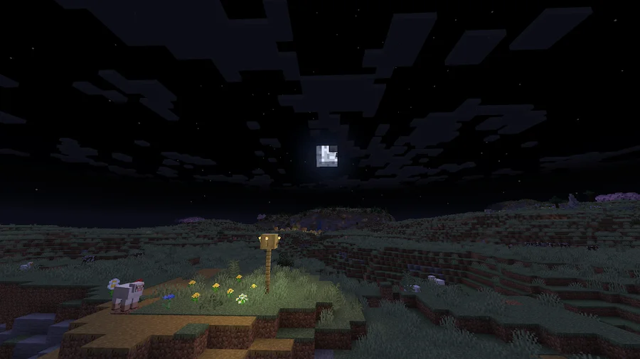Vanilla Shaders Comparison night