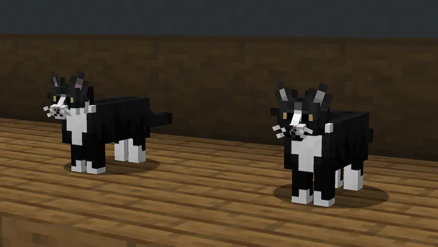 Tuxedo cats