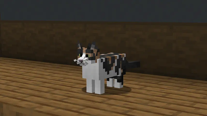 Calico cats
