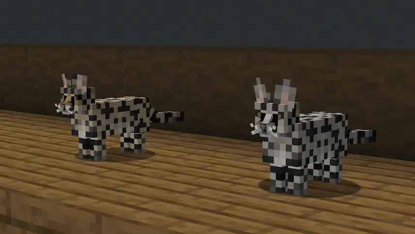 Savannah cats