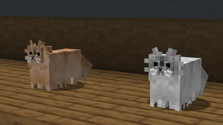 persian cats