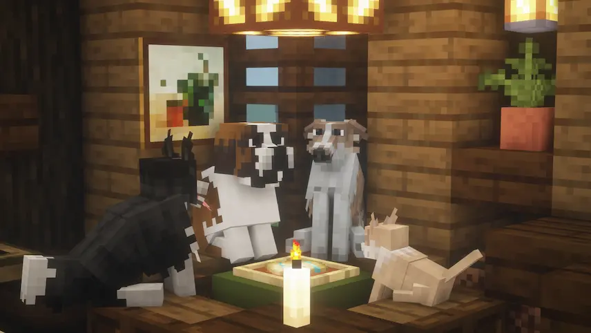 more dogs