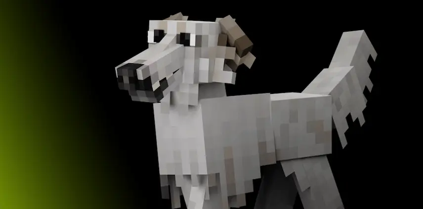 borzoi