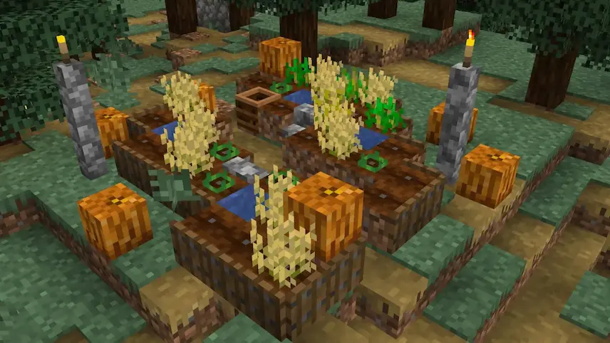 farm in a village