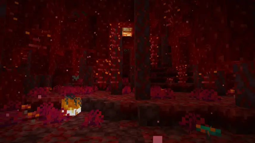 crimson forest