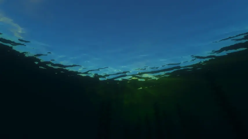 IterationT Shaders compare 3