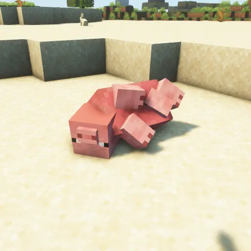 pig dead