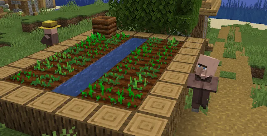 villager