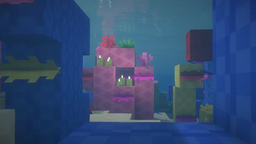 warm ocean