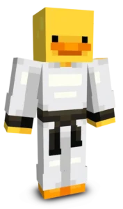 Karate Duck Minecraft Skin