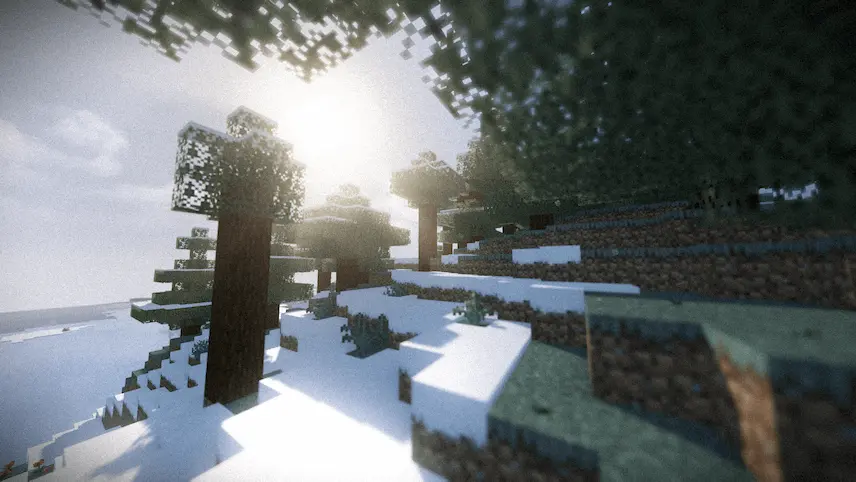 Snowy Forest