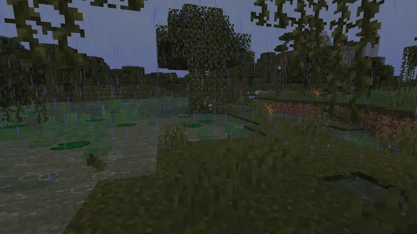 rain paticles