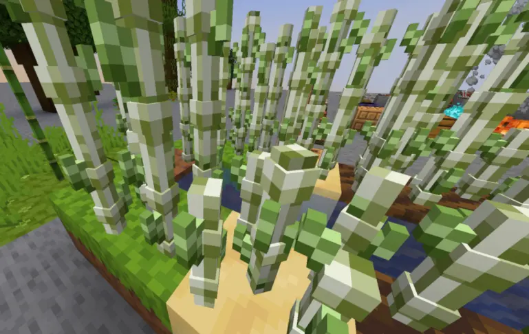 Sugar Cane 3D