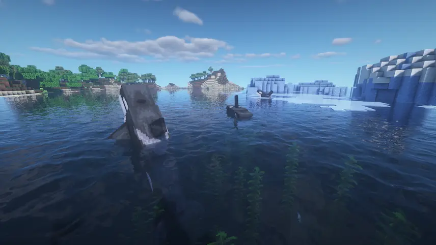 a pod of orcas roaming the frozen oceans.