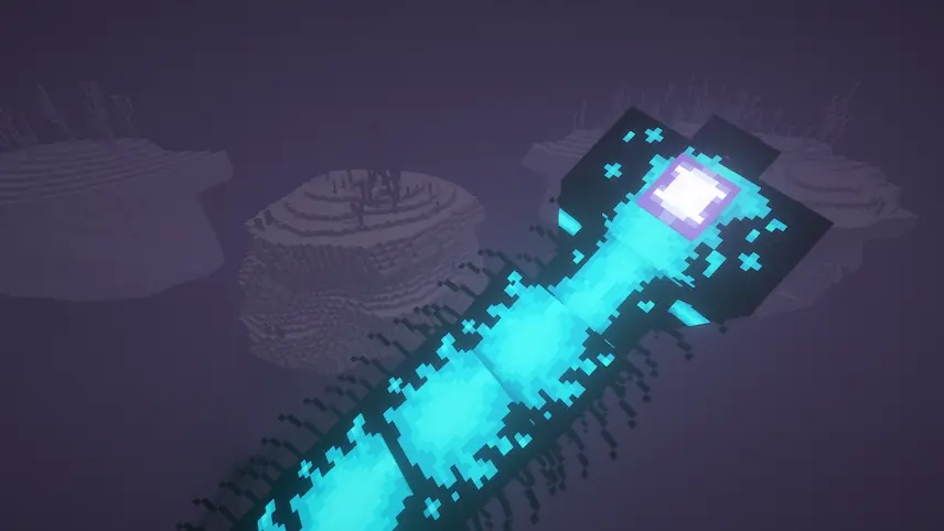 The Void Worm