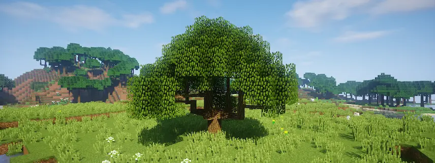 gigian tree