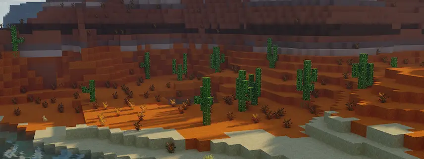 cactus