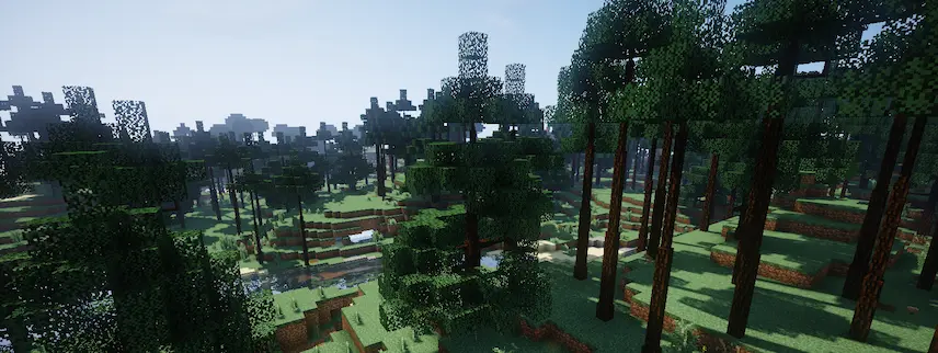 forest trees