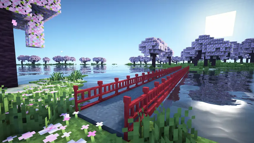 solid Bridge