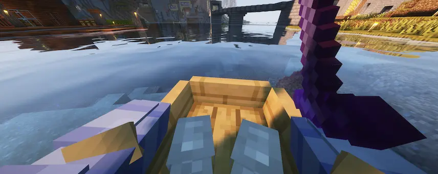 First person view