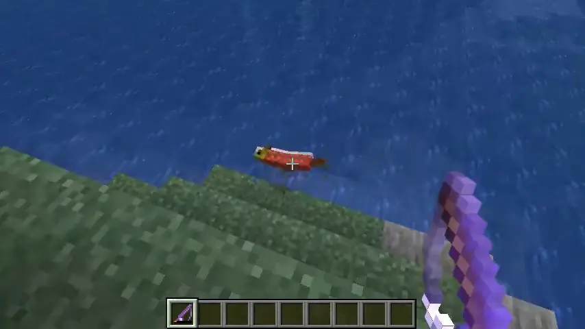 fish