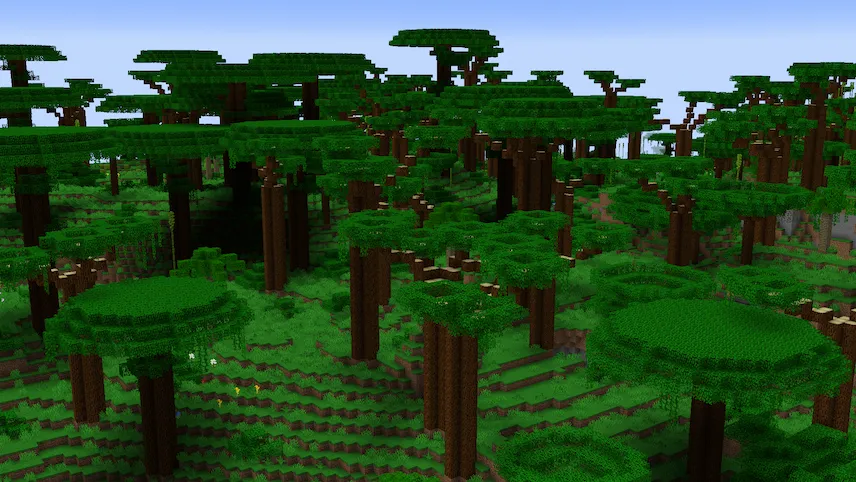 rainforest