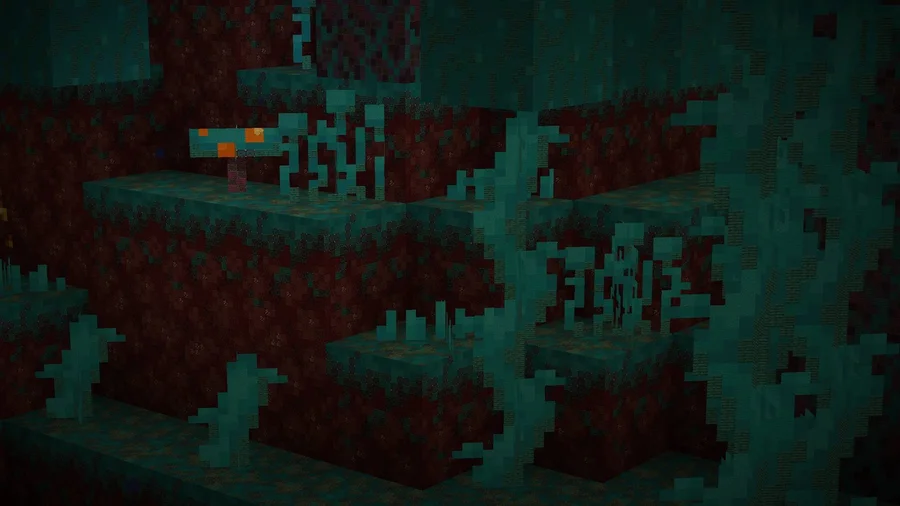 warped forest