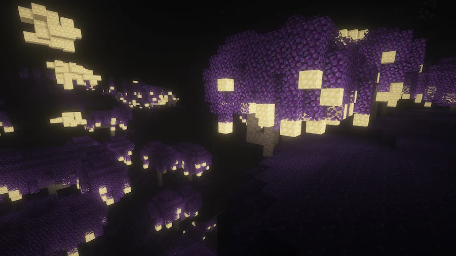 The echoing forest