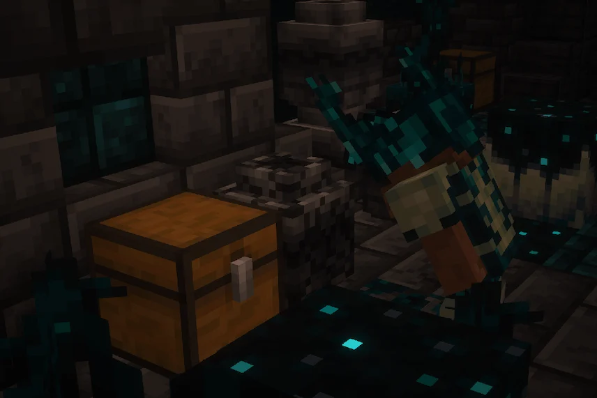 chest