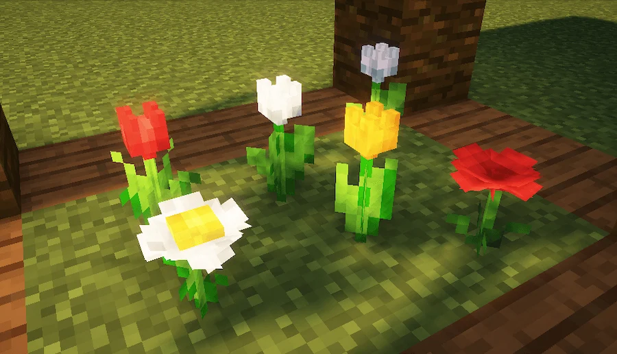 flowers