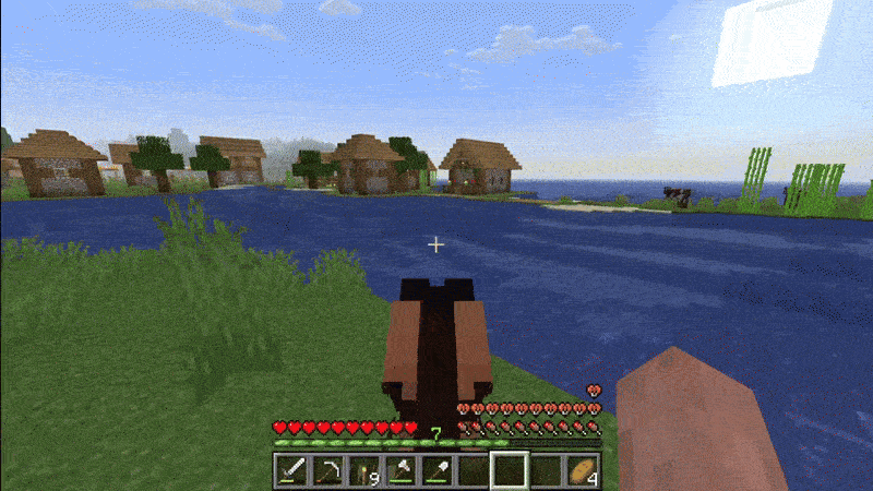 horses can swim