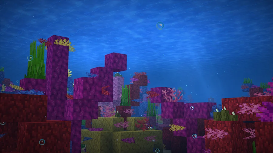 warm ocean