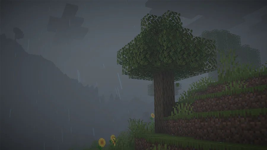 rain