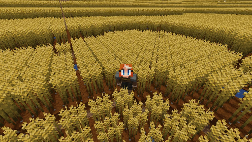 Wheat Fields
