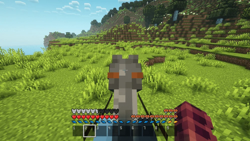 horse