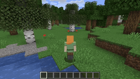 Customizable Third Person Perspectives