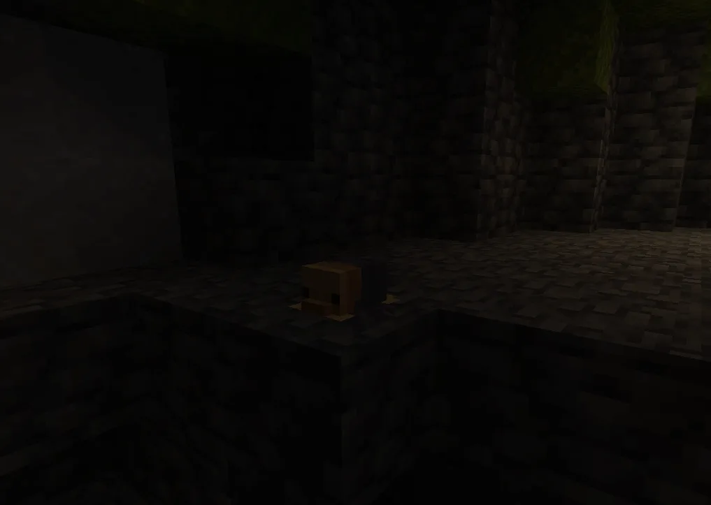 Rubber Ducky Isopod in a Lush Cave