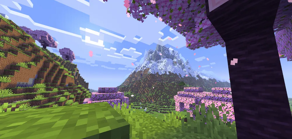 ReShaded resource pack day