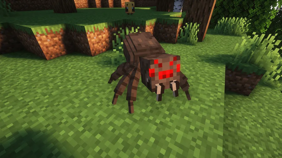 spider realistic