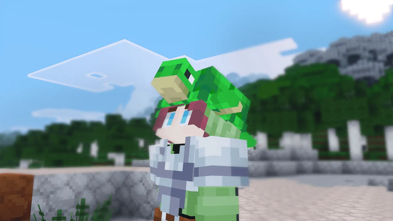 Fresh Turtle Helmets