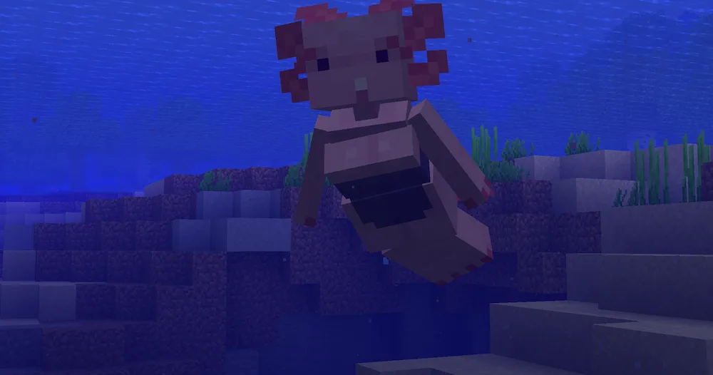 Axolotl girl in-game