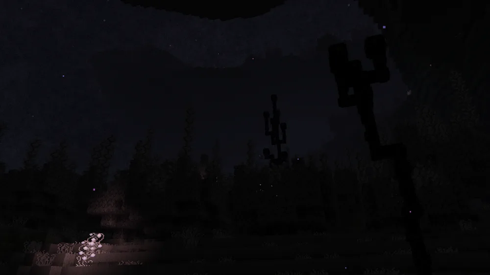 Midnight Veiled Woodlands