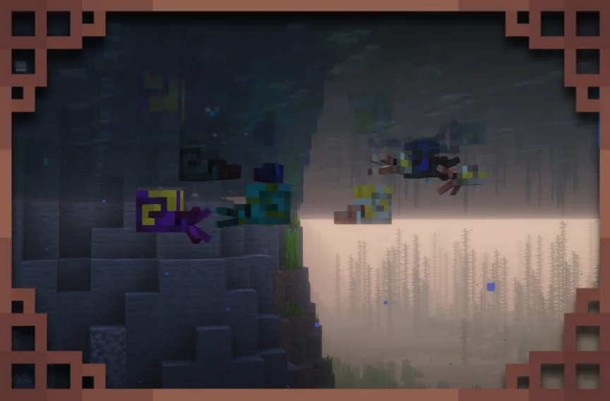 A school of ammonites