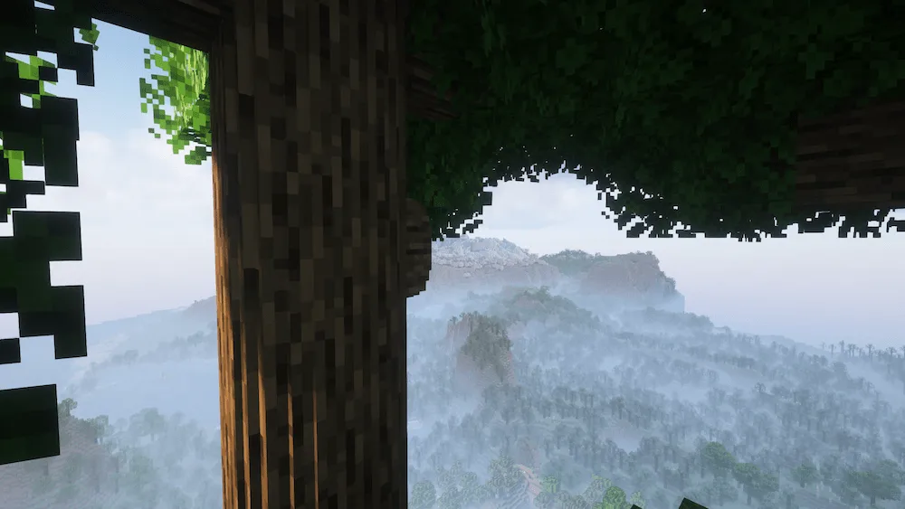 A huge oak tree overlooking the forests