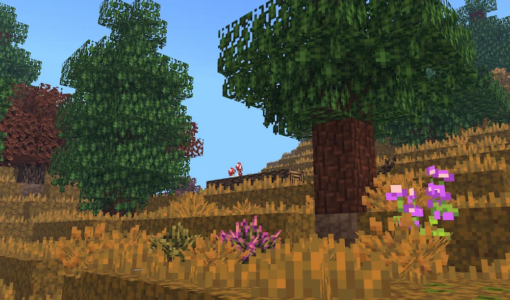 Hills