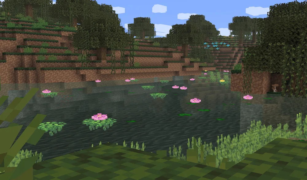 swamp